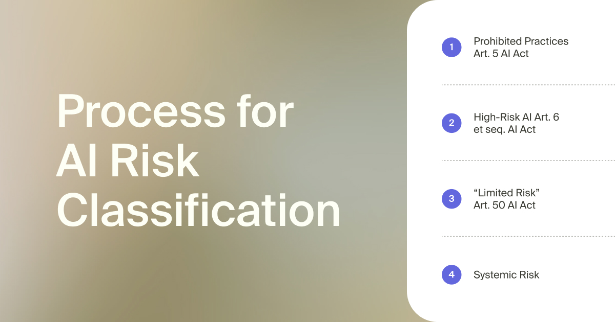 Process for AI Risk Classification