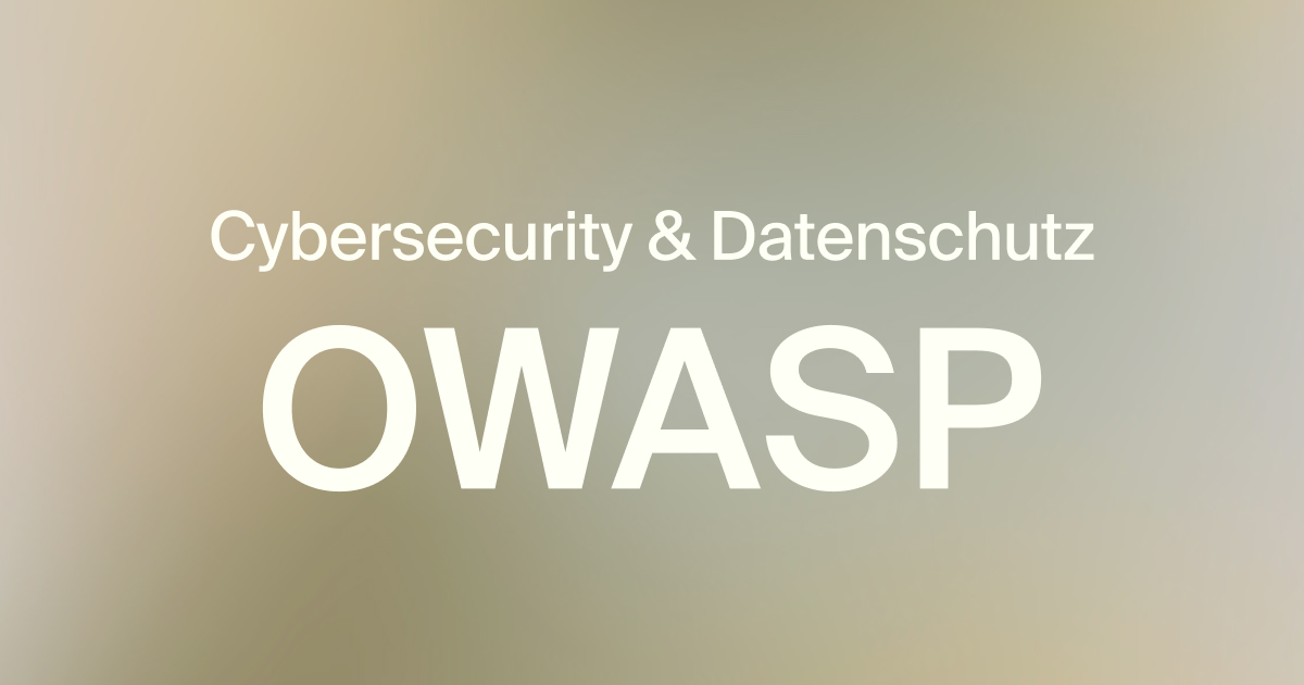 Thema Cybersecurity OWASP-Standards f&uuml;r Datenschutzma&szlig;nahmen Icon