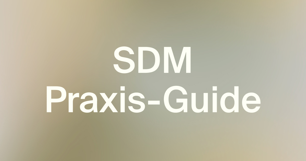 SDM 3.1 Praxis-Guide