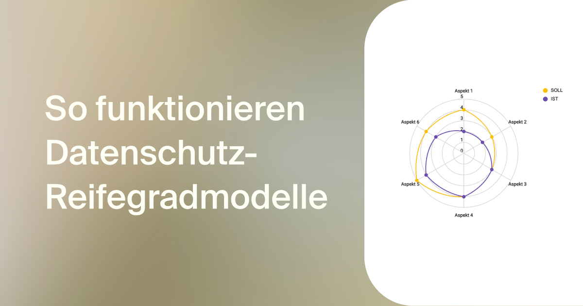 Visualisierung eines Reifegradmodells zur Bewertung von Datenschutzma&szlig;nahmen