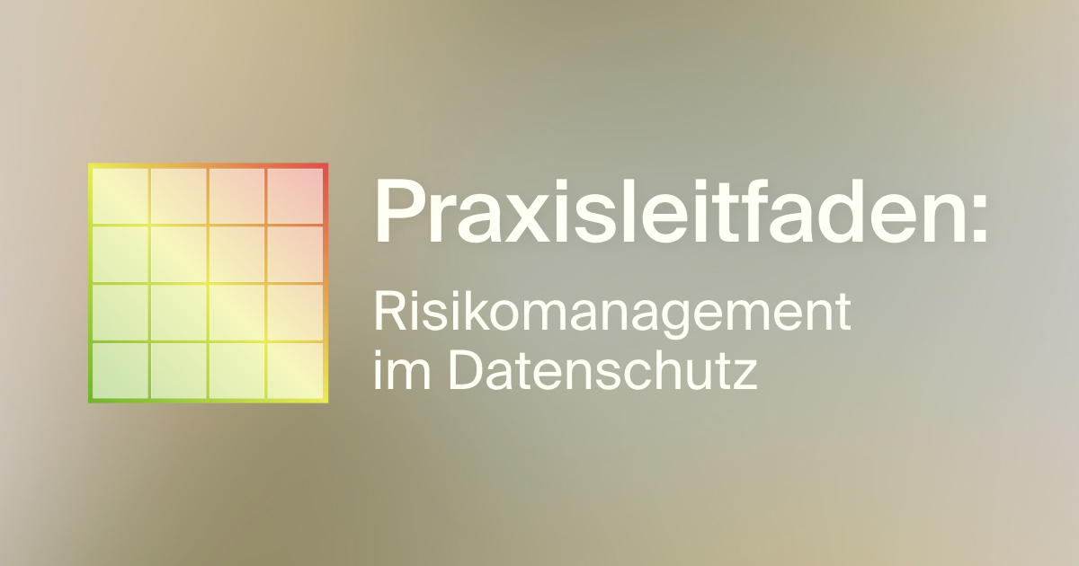 Praxisleitfaden Risikomanagement im Datenschutz mit farbigem Raster-Icon auf hellem Hintergrund